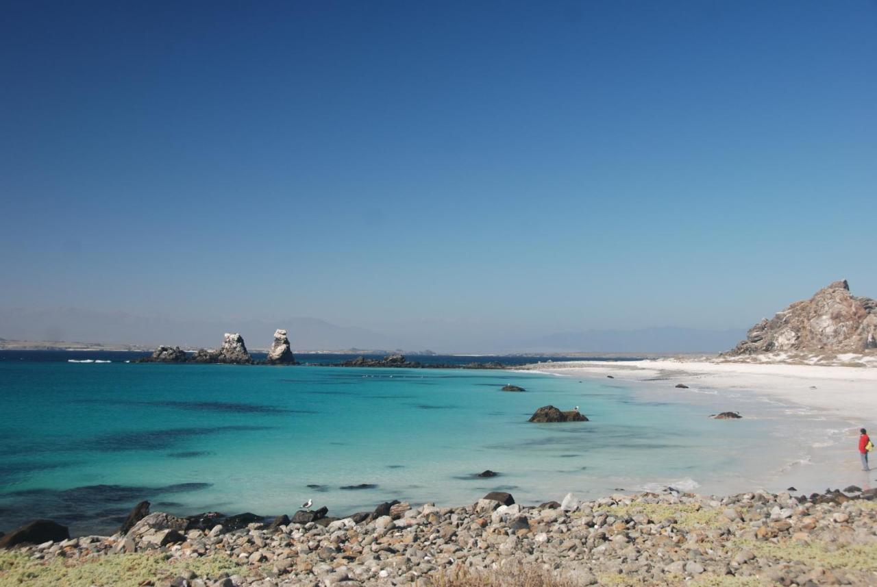 Cabanas Las Hualas Punta de Choros Eksteriør billede