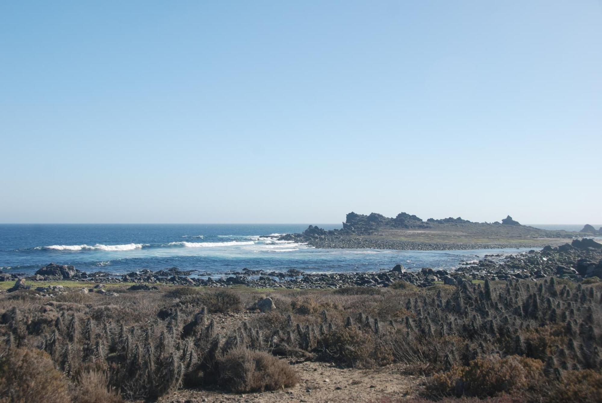 Cabanas Las Hualas Punta de Choros Eksteriør billede